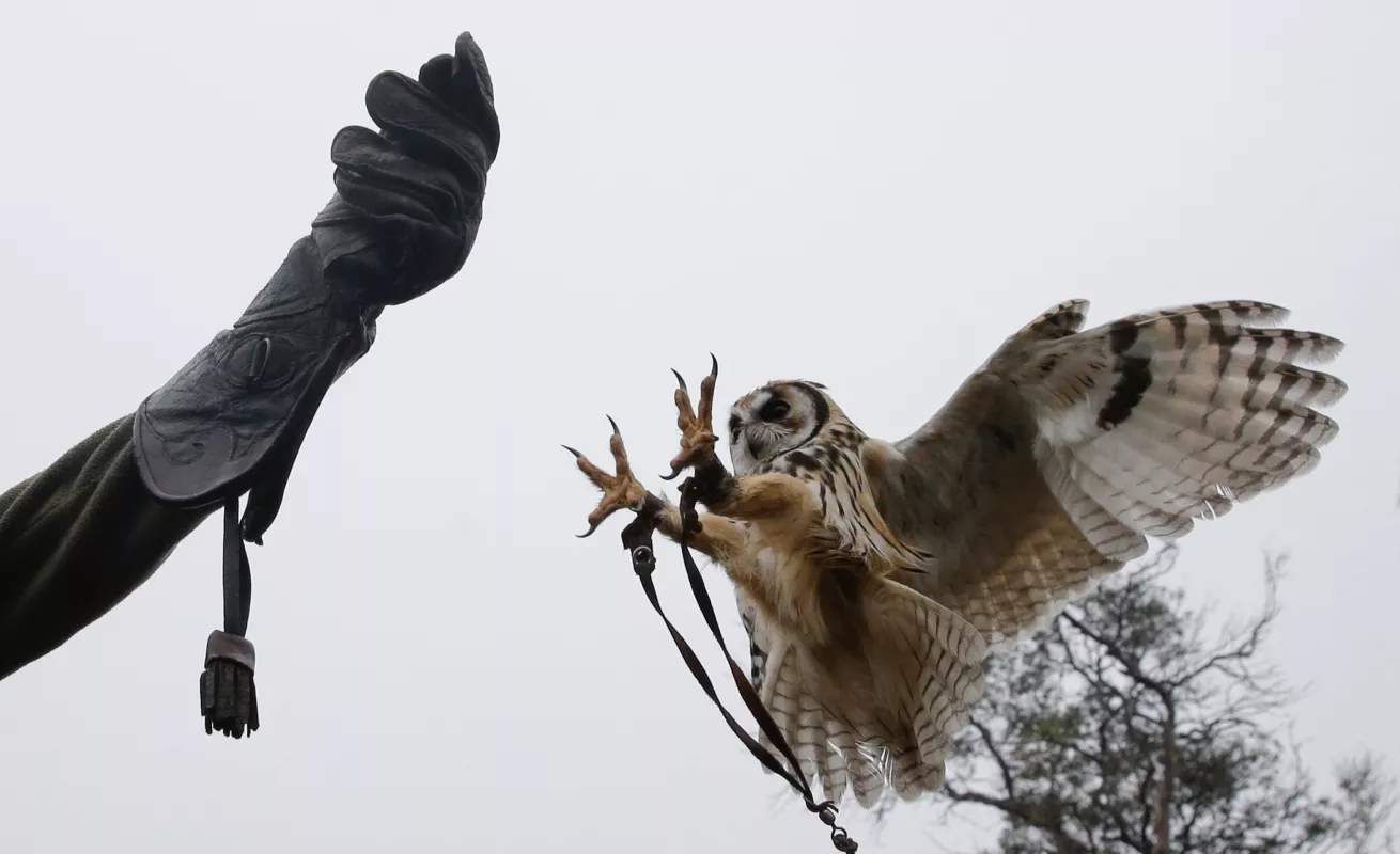 Un cierre, un adiós 