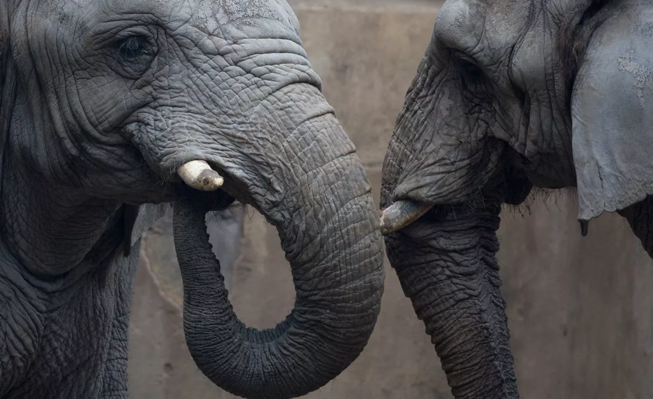 Un cierre, un adiós 