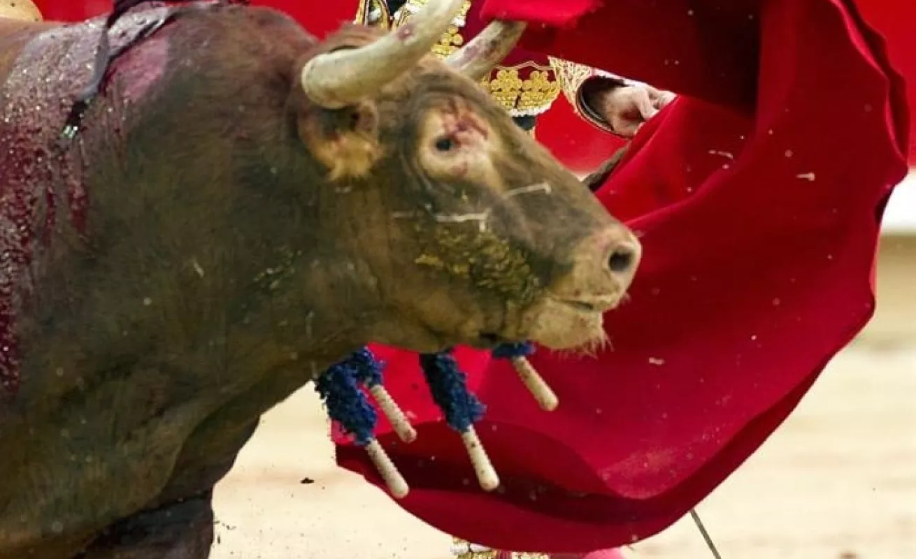 Quinto encierro de los Sanfermines 2016