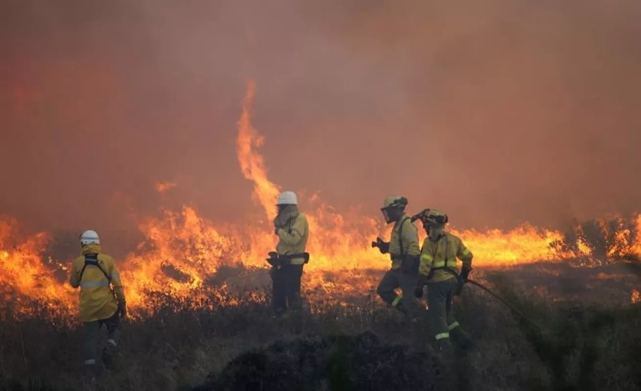 Incendio forestal en La Alcaidesa