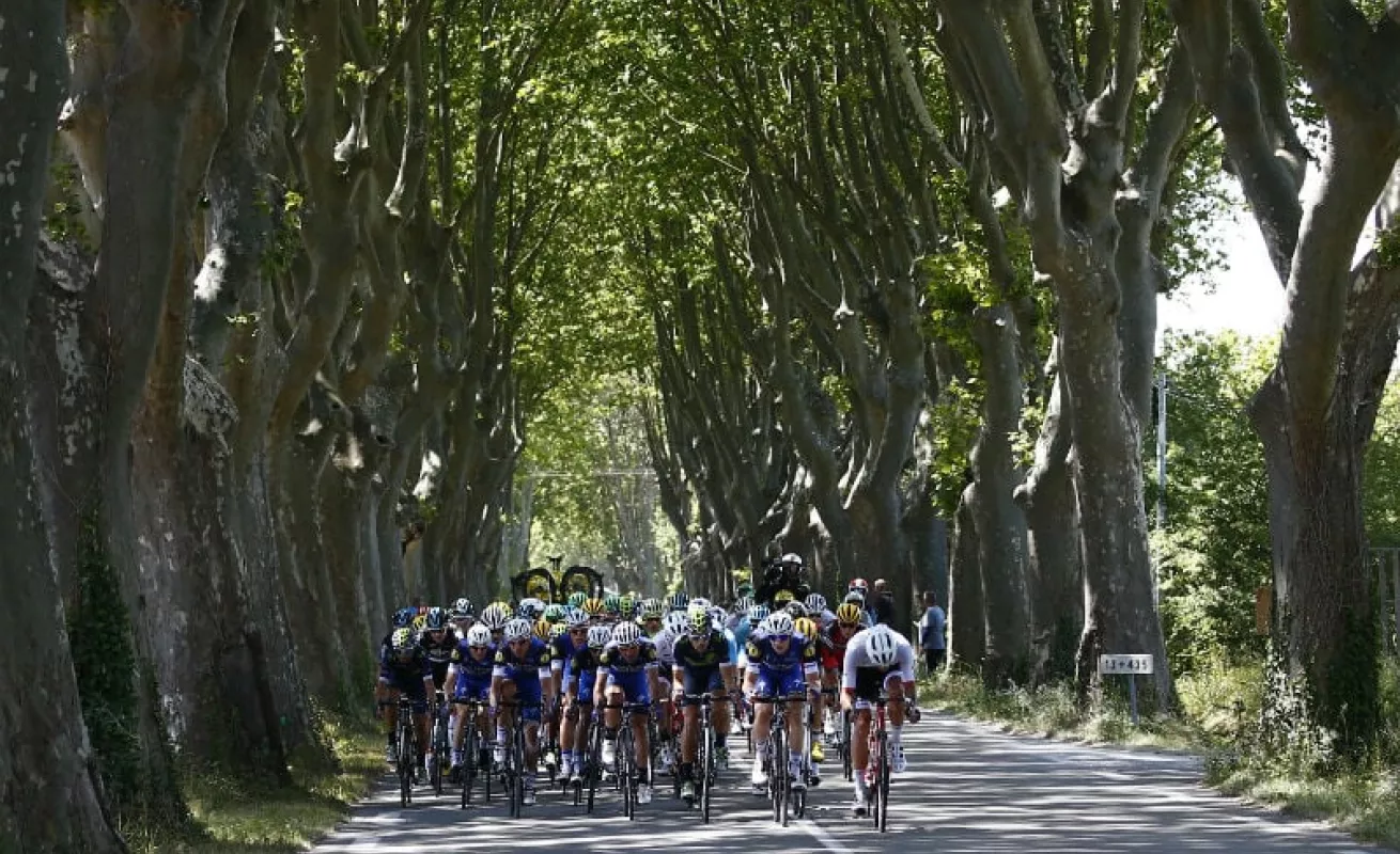 Circuito Mont Ventoux