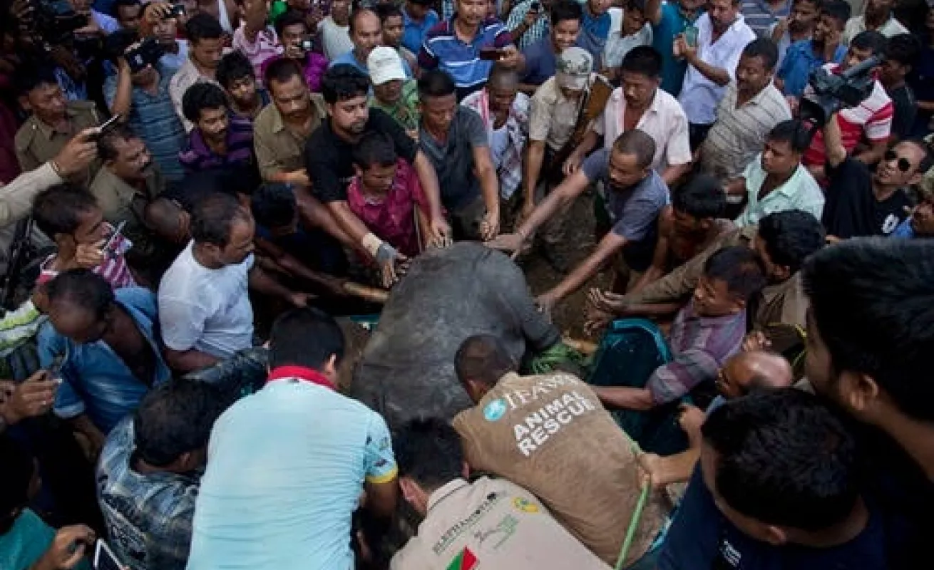 Rescatados de las aguas