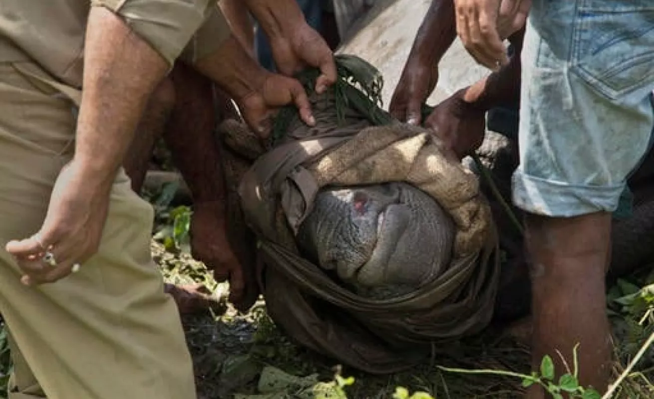 Rescatados de las aguas