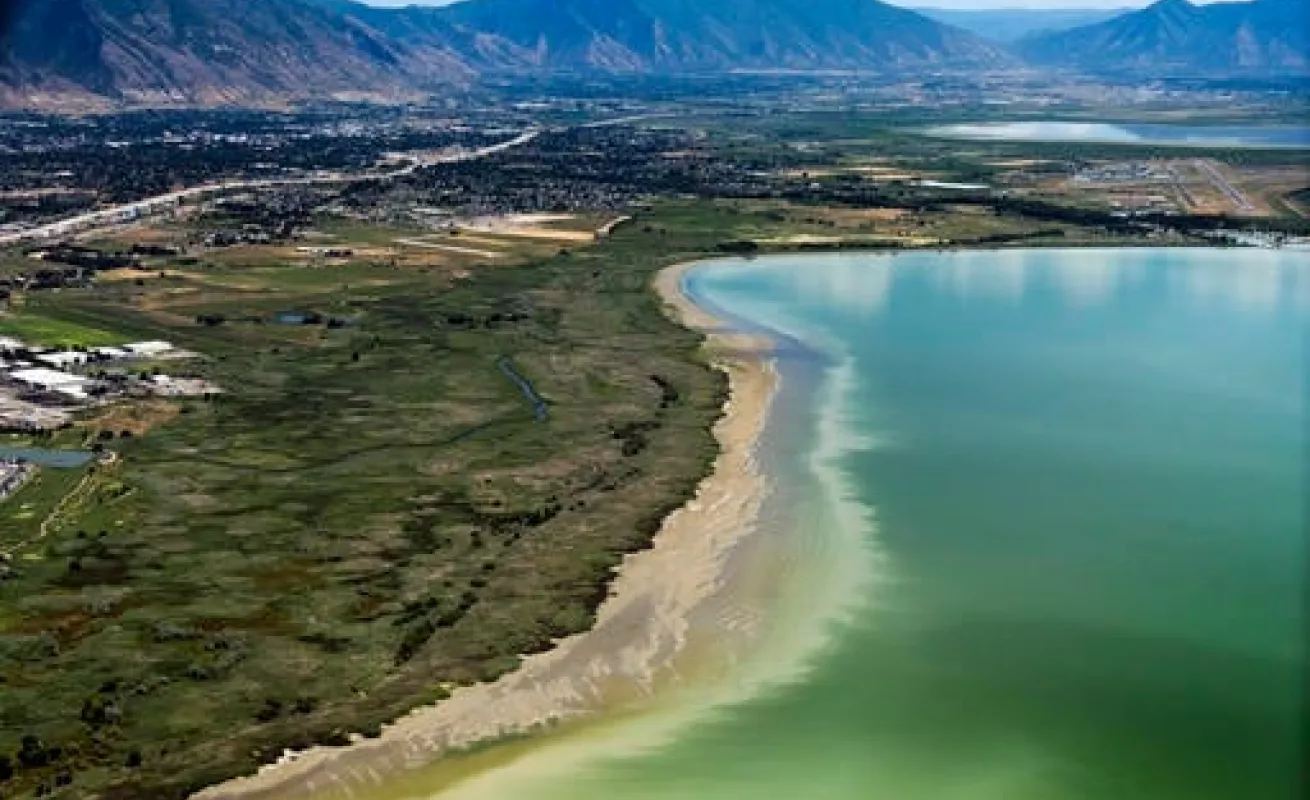 Algas tóxicas en Florida