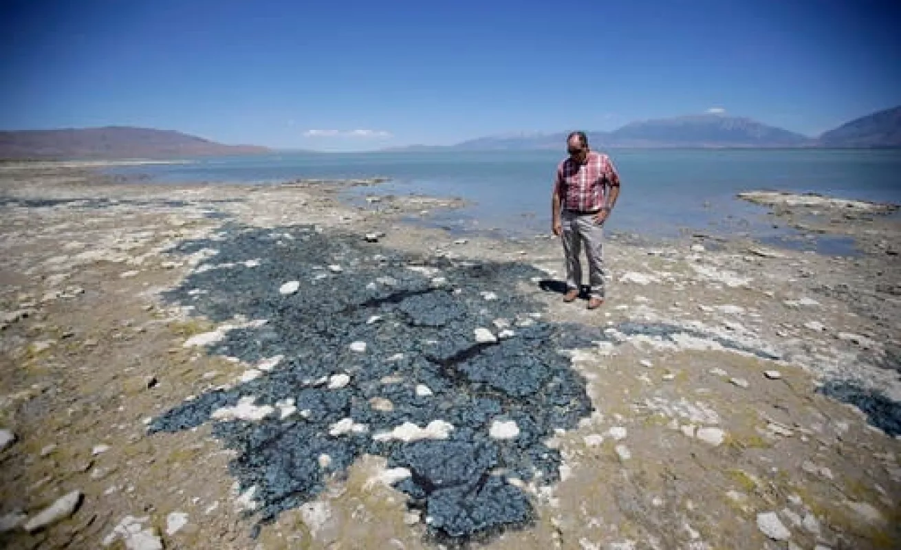 Algas tóxicas en Florida