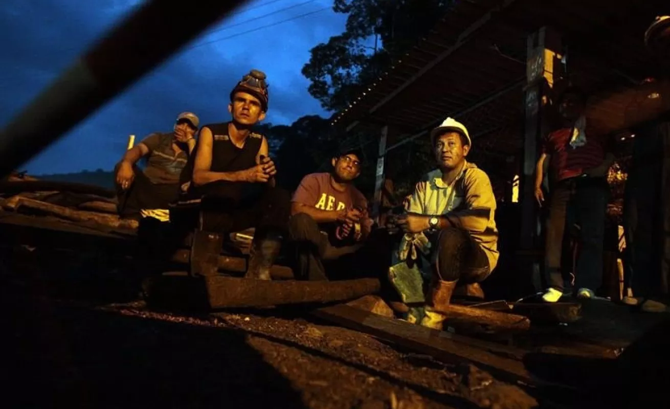 Tapete verde da vida a zona degradada por minería