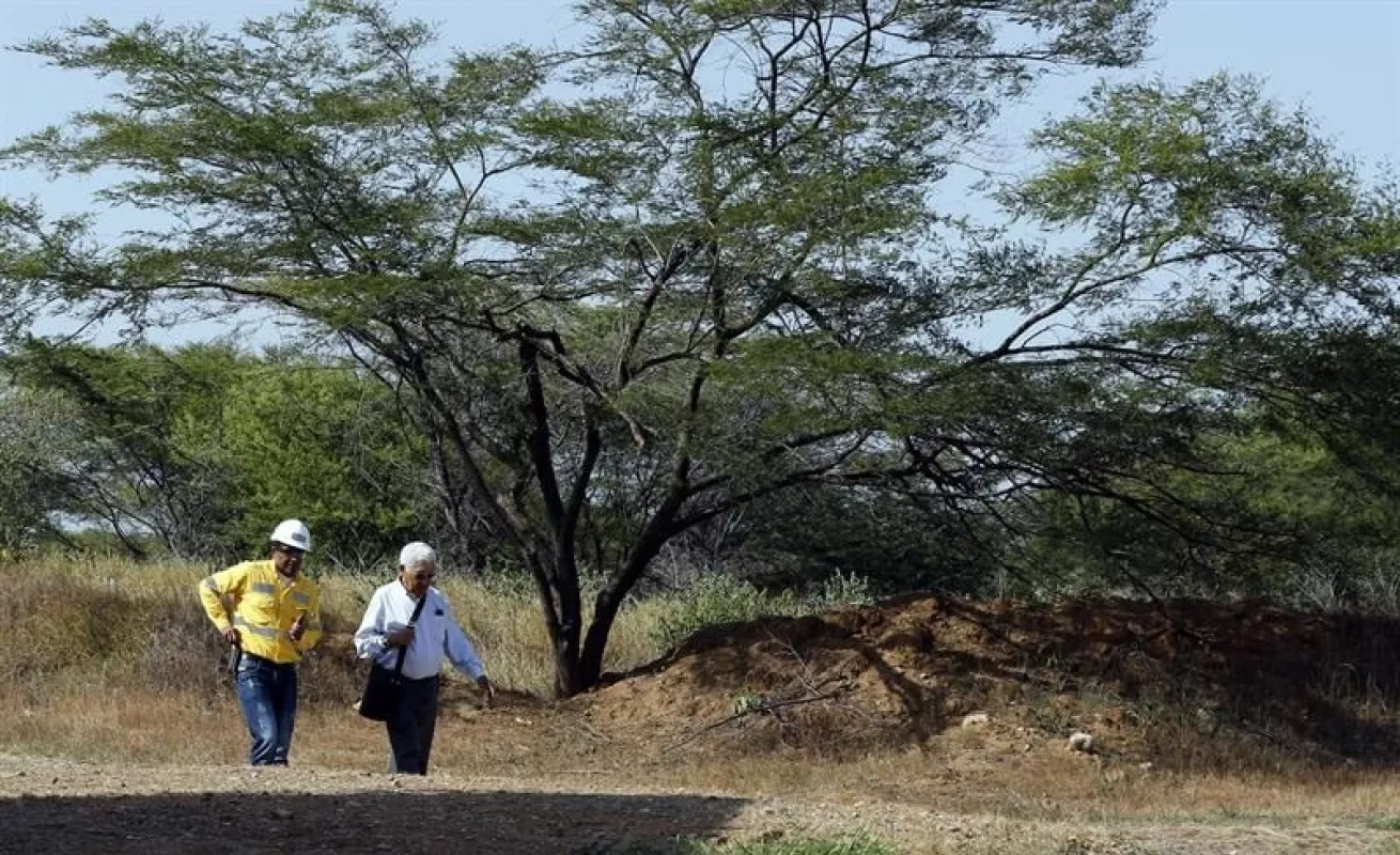 Tapete verde da vida a zona degradada por minería