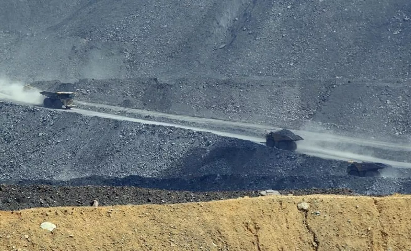 Tapete verde da vida a zona degradada por minería