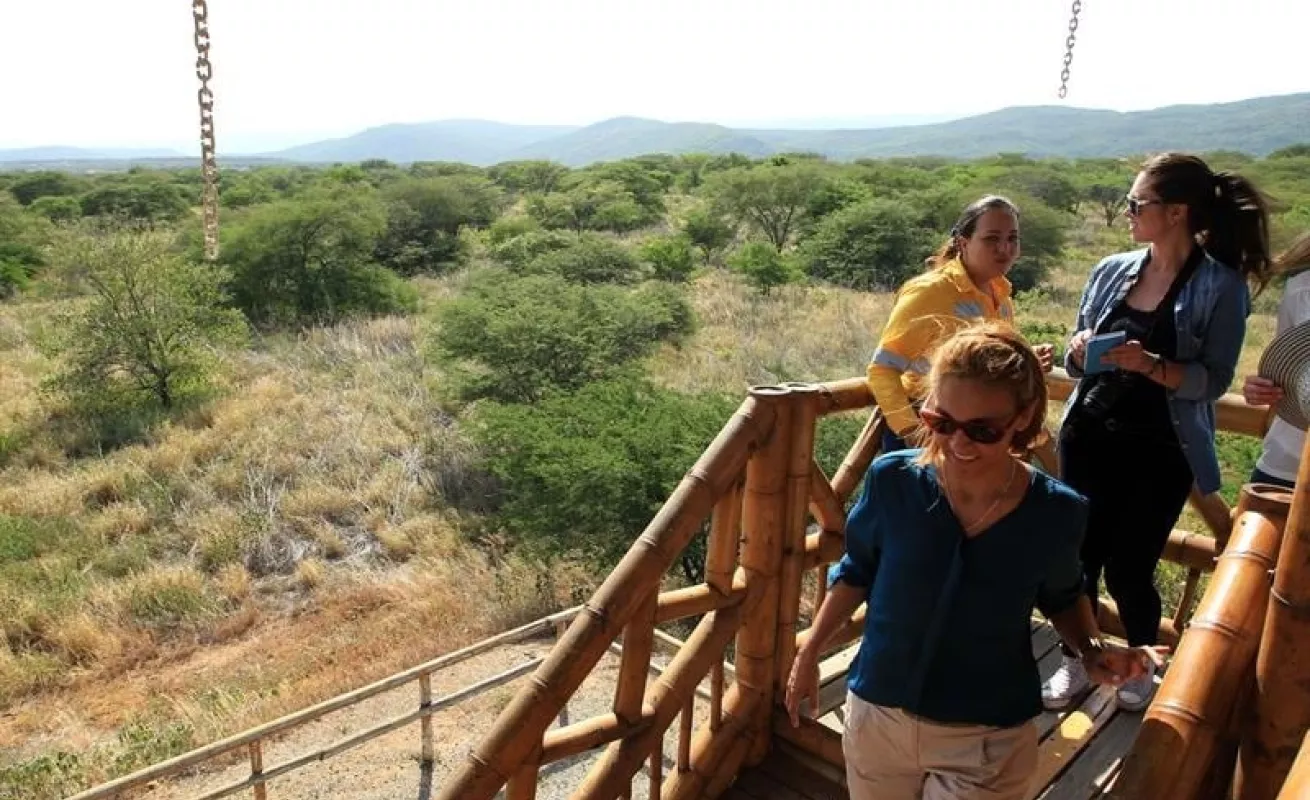 Tapete verde da vida a zona degradada por minería