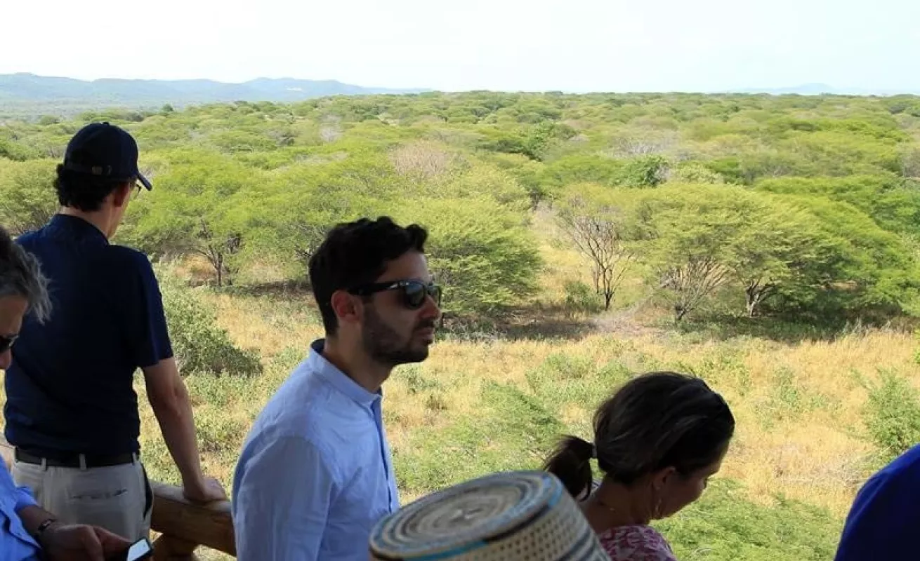 Tapete verde da vida a zona degradada por minería