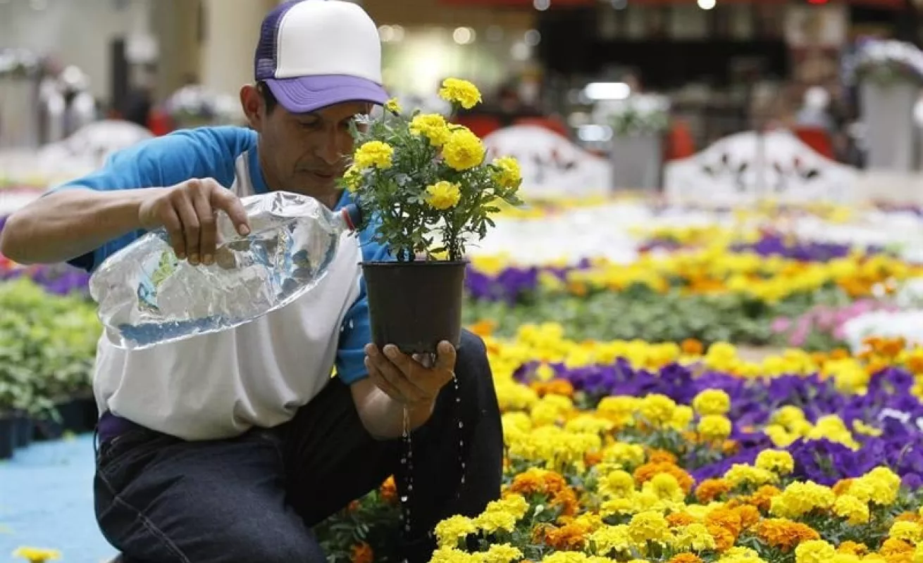 Feria de las flores de Medellín