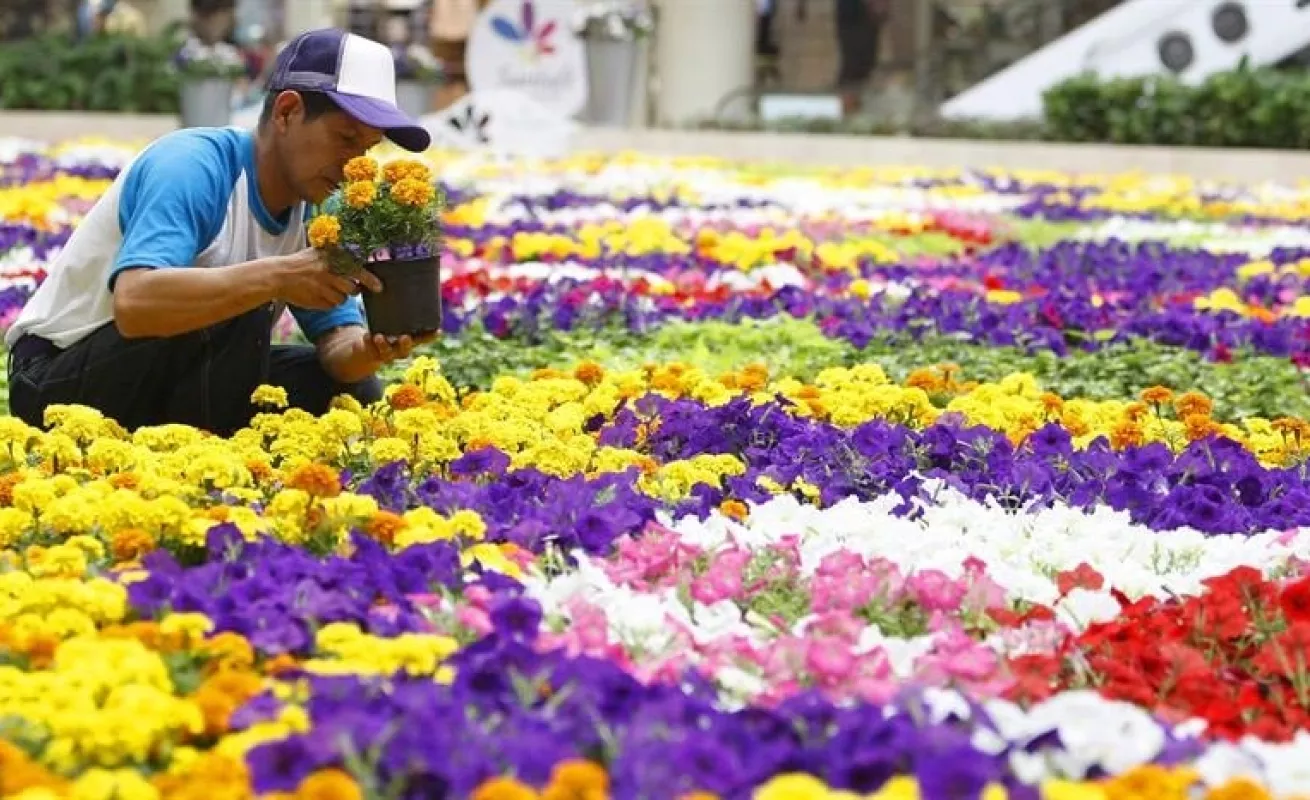 Feria de las flores de Medellín