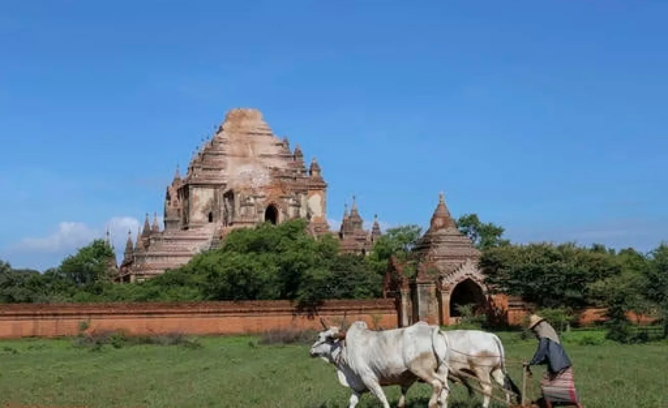 Mianmar se repone de la tragedia