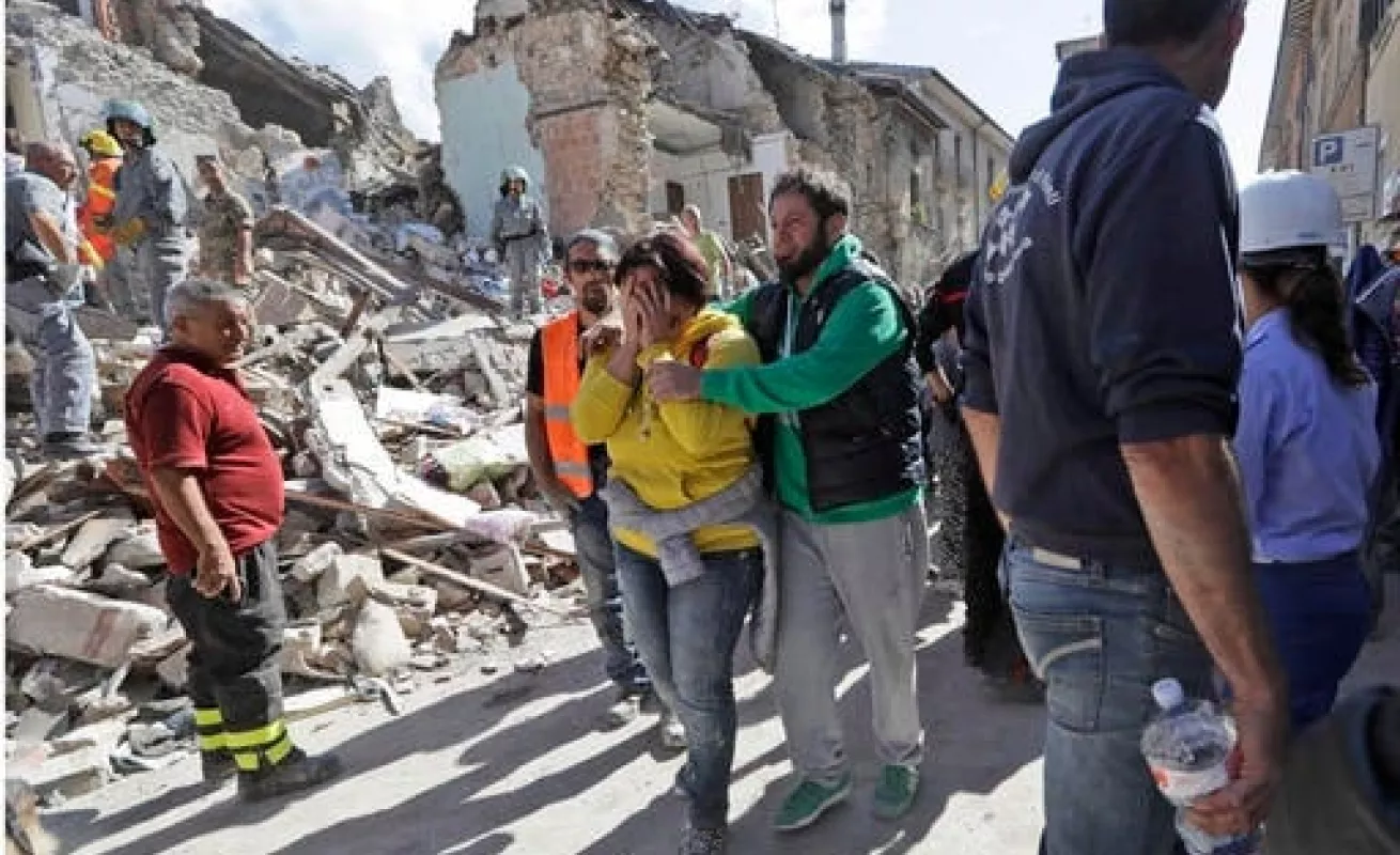 Búsqueda incansable