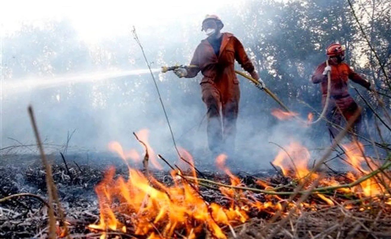 Llamas amenazan Valencia