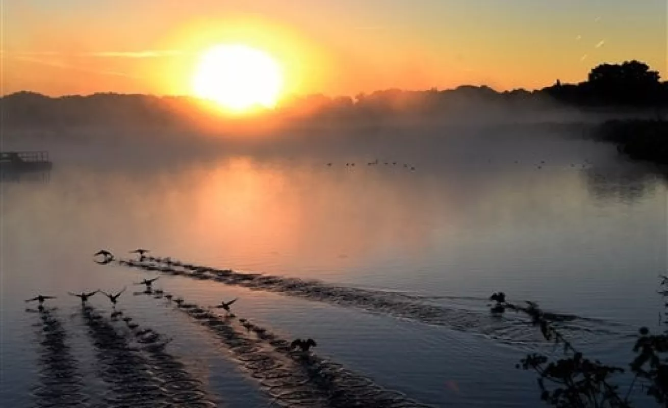 Postales de Alemania