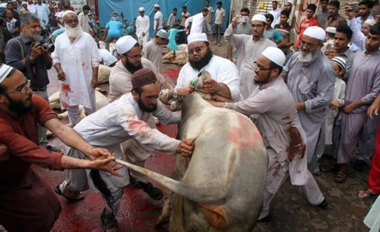 Festival 'Eid al-Adha'