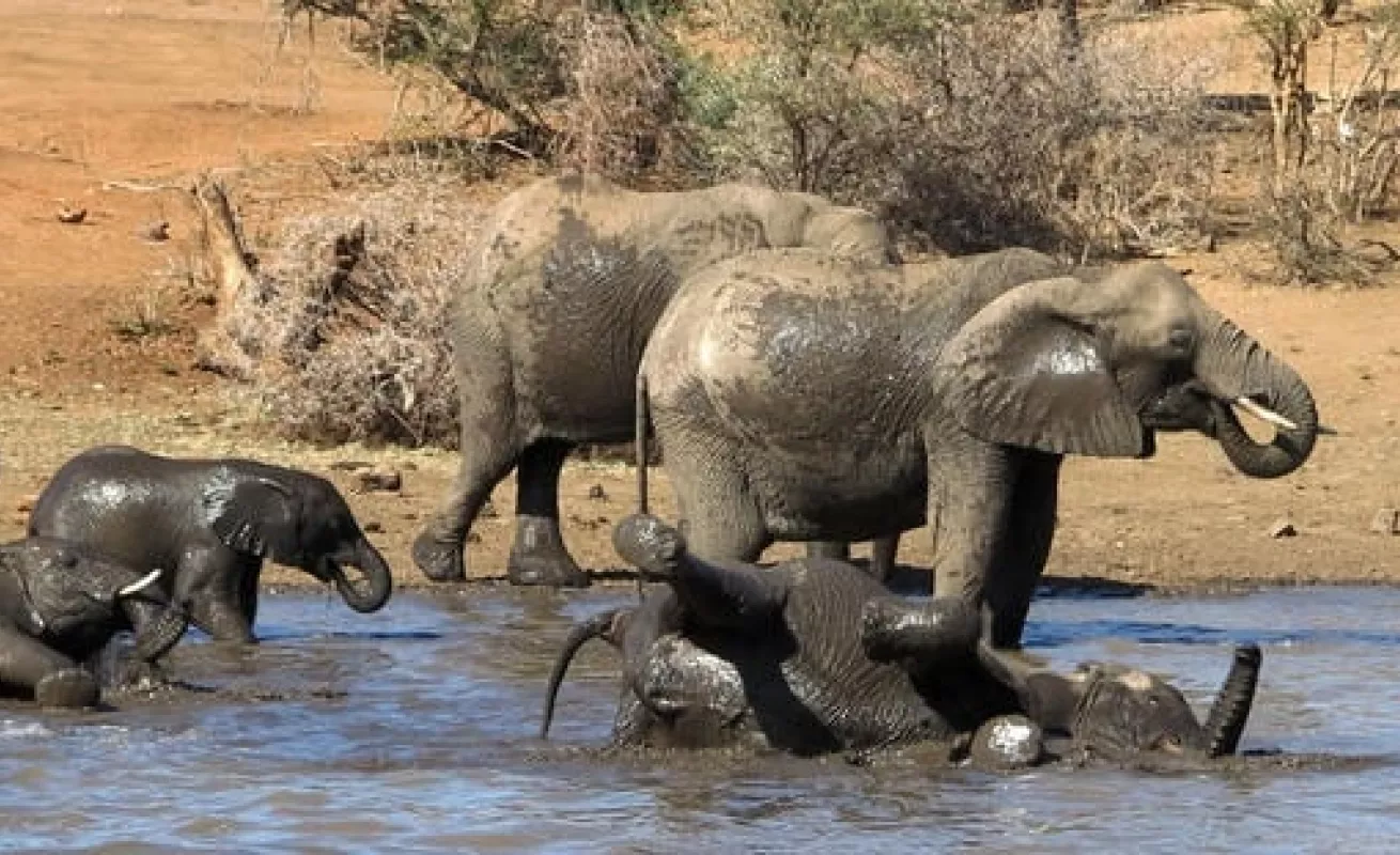 Parque natural de Sudáfrica golpeado por la sequía