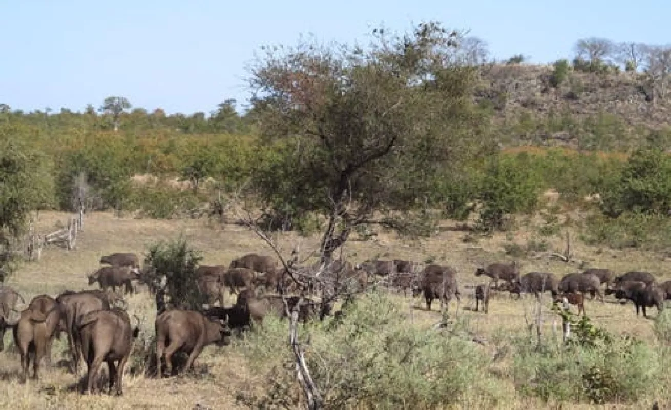 Parque natural de Sudáfrica golpeado por la sequía