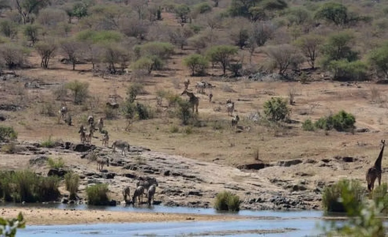 Parque natural de Sudáfrica golpeado por la sequía
