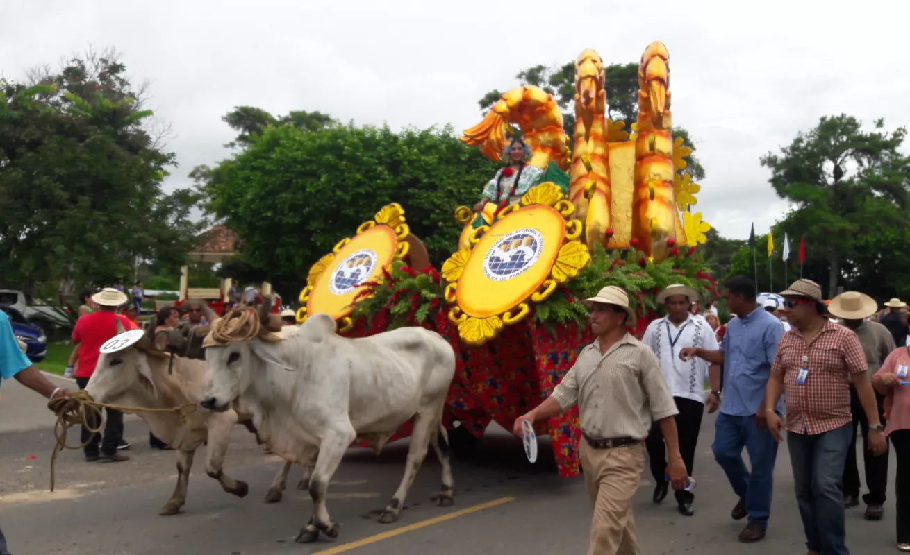 Desfile de los mil sombreros