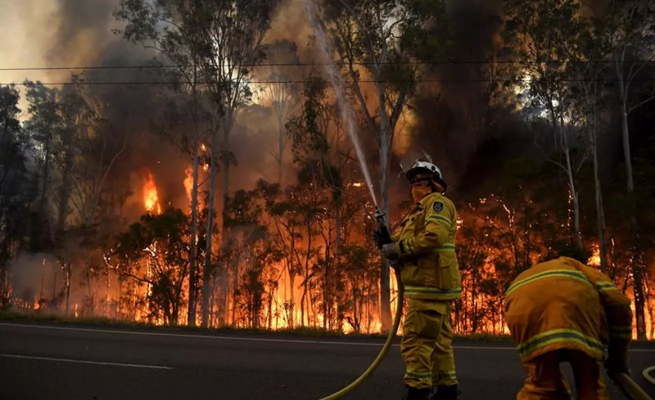 Fuego consume Nueva Gales