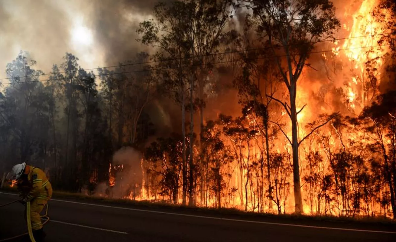 Fuego consume Nueva Gales