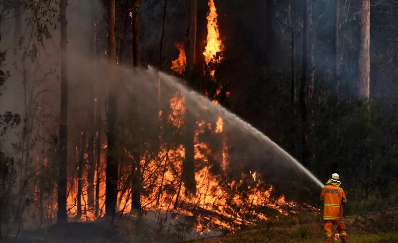 Fuego consume Nueva Gales