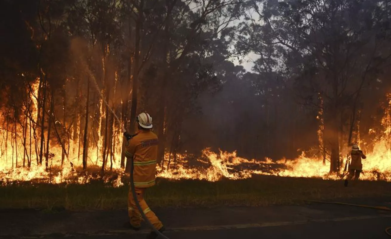Fuego consume Nueva Gales