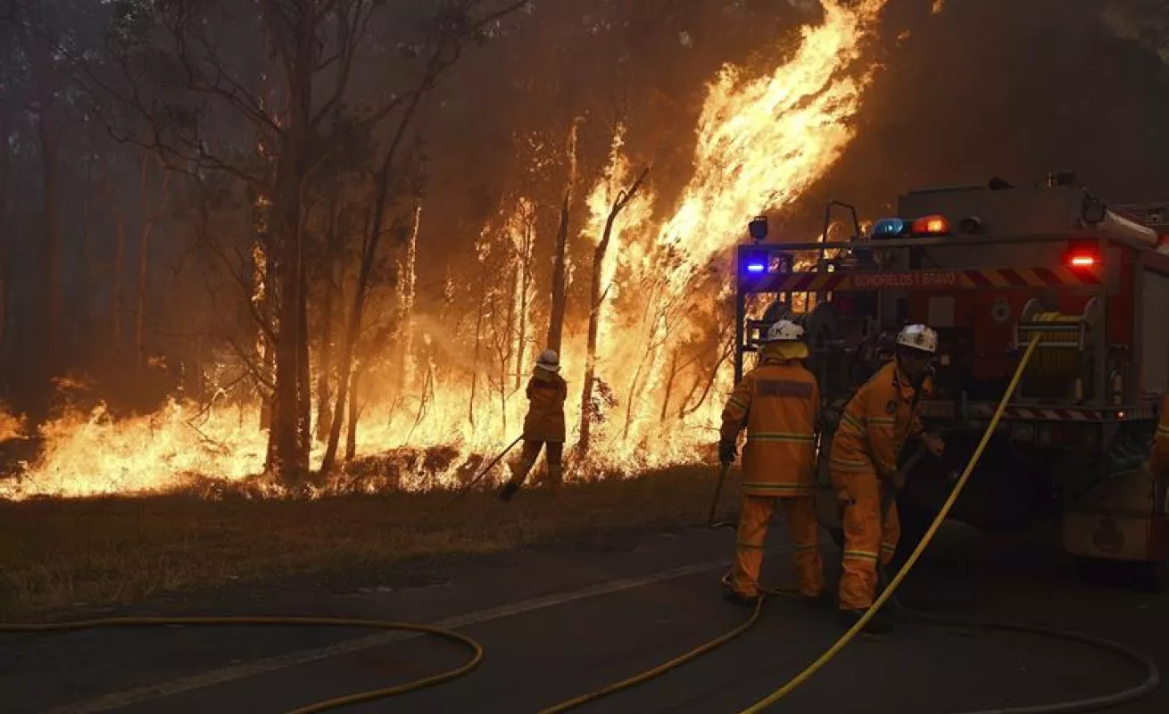 Fuego consume Nueva Gales
