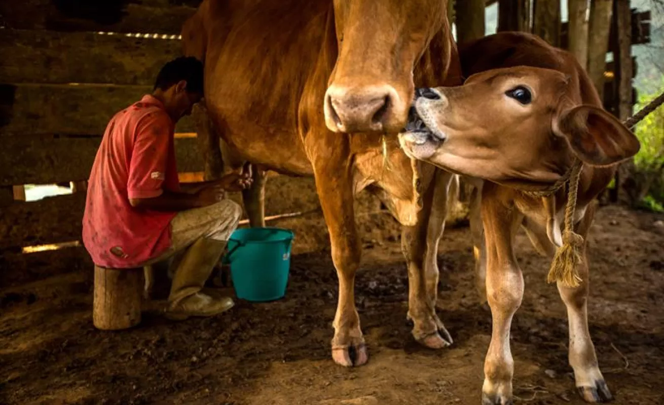 Hermosos paisajes de Mérida