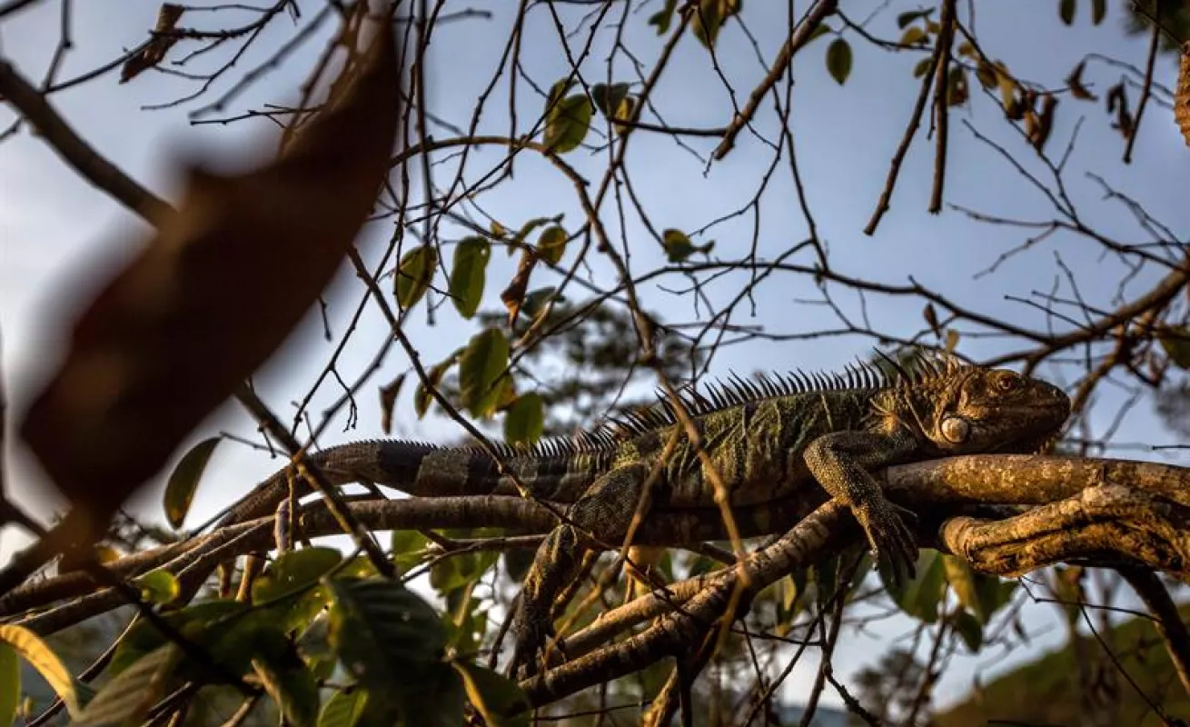 Hermosos paisajes de Mérida