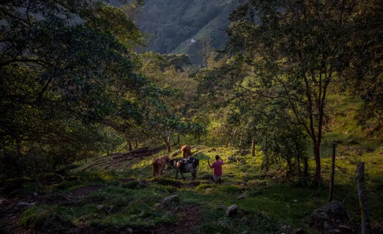 Hermosos paisajes de Mérida