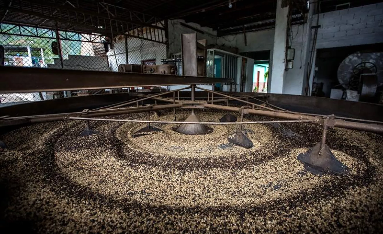 Hermosos paisajes de Mérida