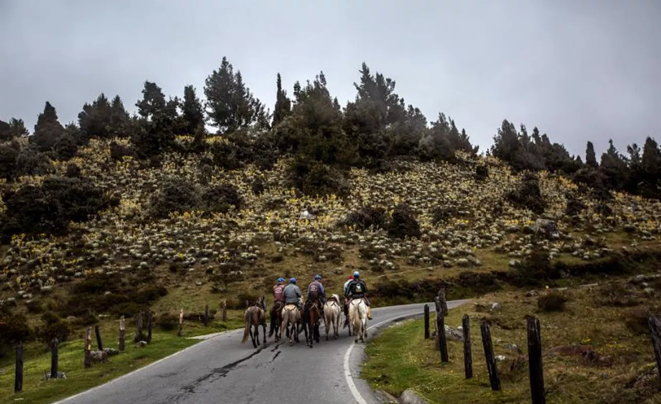 Hermosos paisajes de Mérida