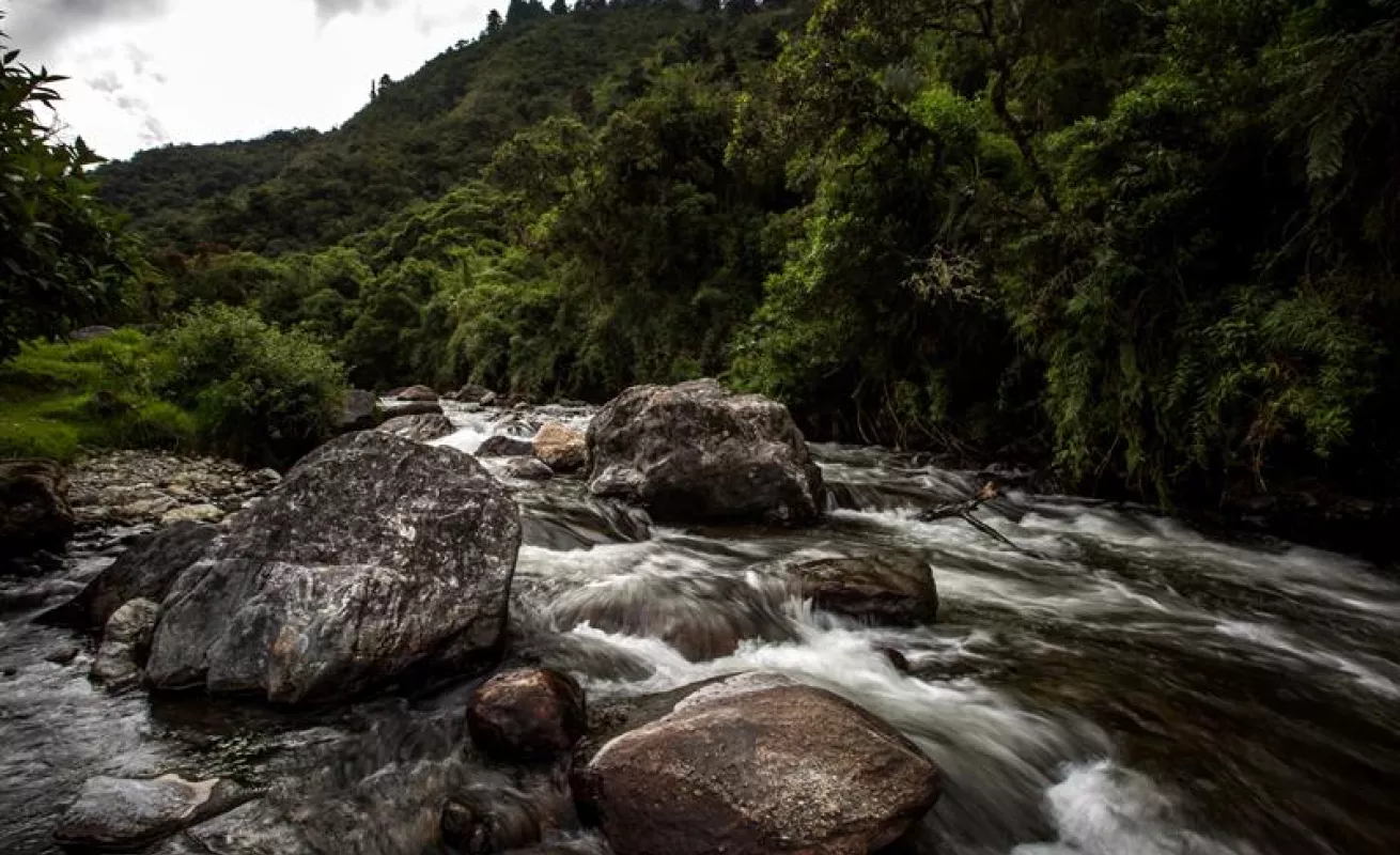 Hermosos paisajes de Mérida
