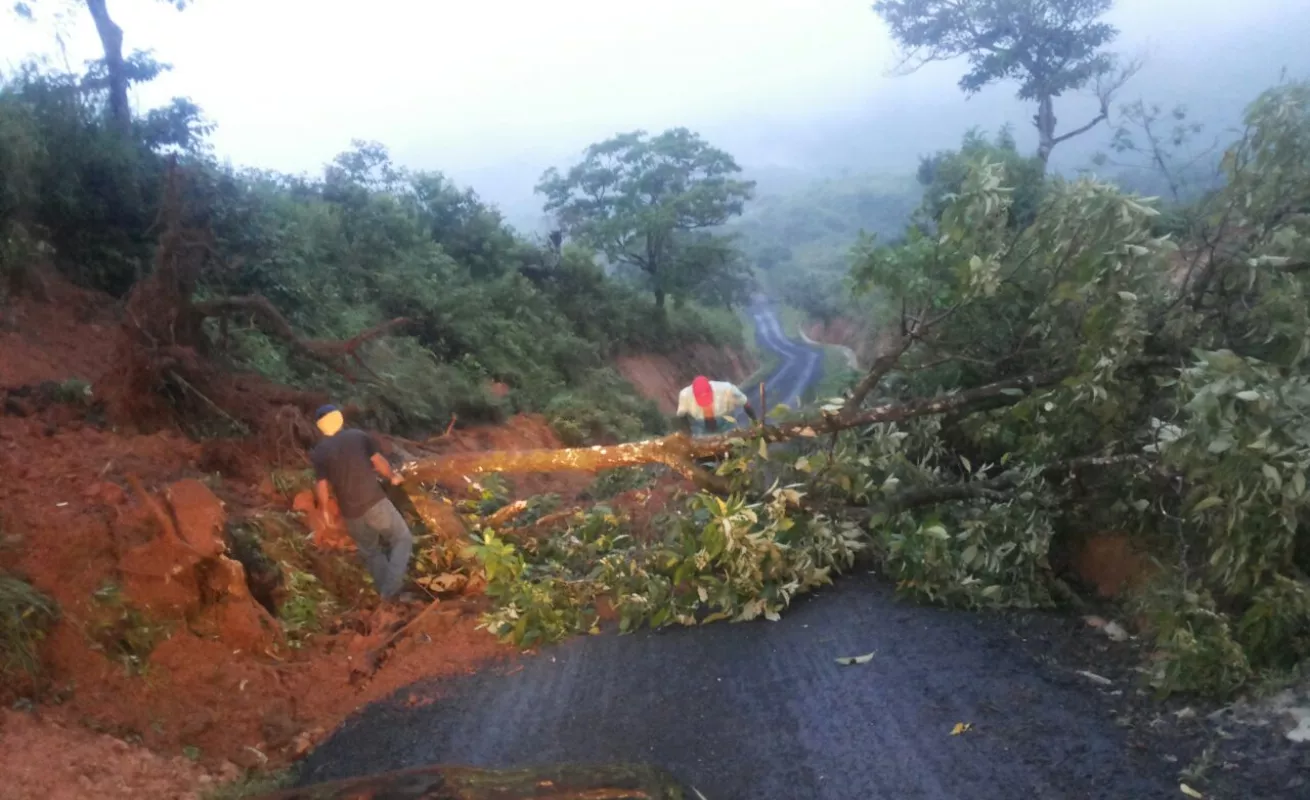 #GaleriaCri Estragos de Otto en Panamá