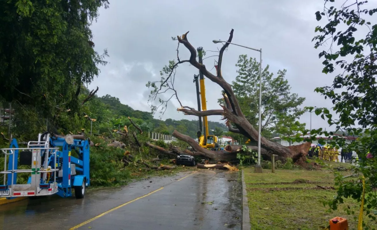 #GaleriaCri Estragos de Otto en Panamá