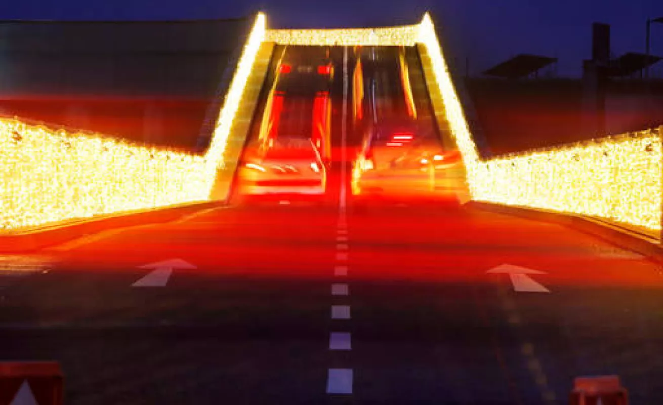 Luces de fin de año