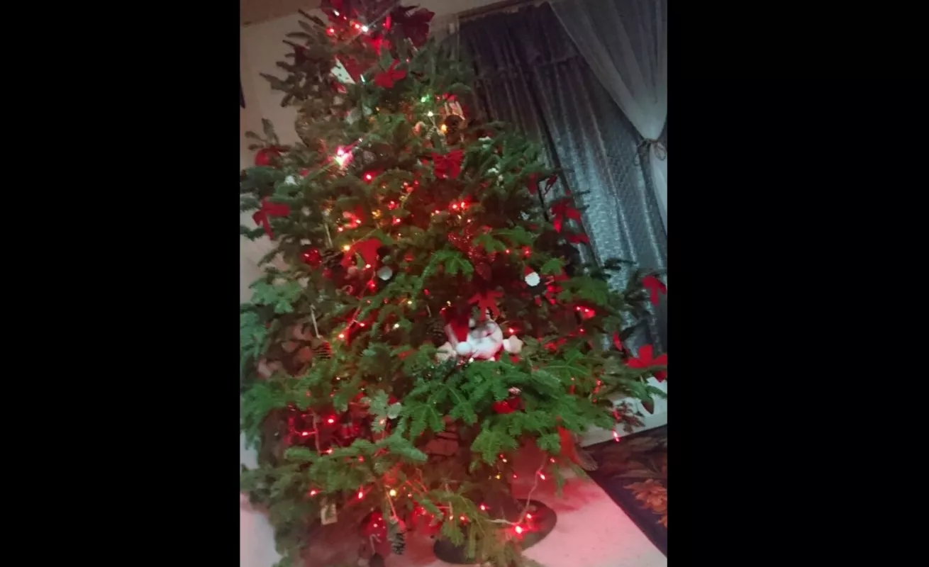 #CríticaEnNavidad entró a las casas de nuestros seguidores 