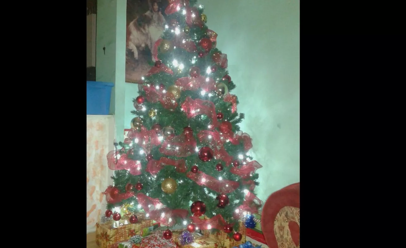 #CríticaEnNavidad entró a las casas de nuestros seguidores 