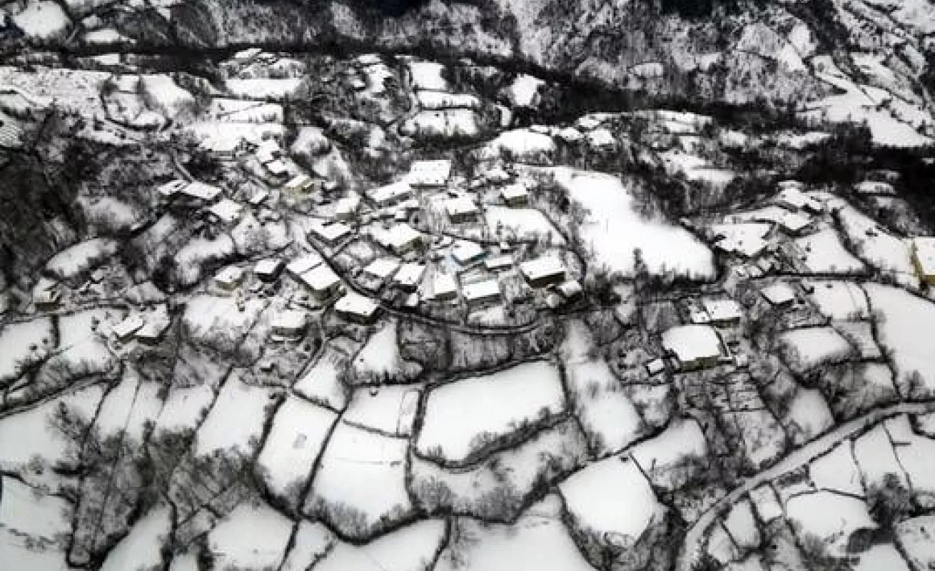 #GaleriaCri Blanca nieve