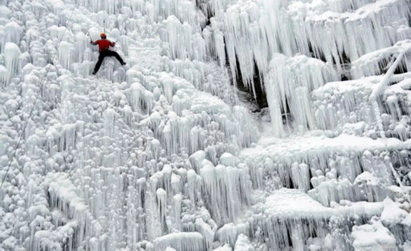 #GaleriaCri Blanca nieve