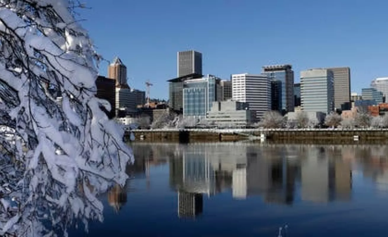 #GaleriaCri Blanca nieve