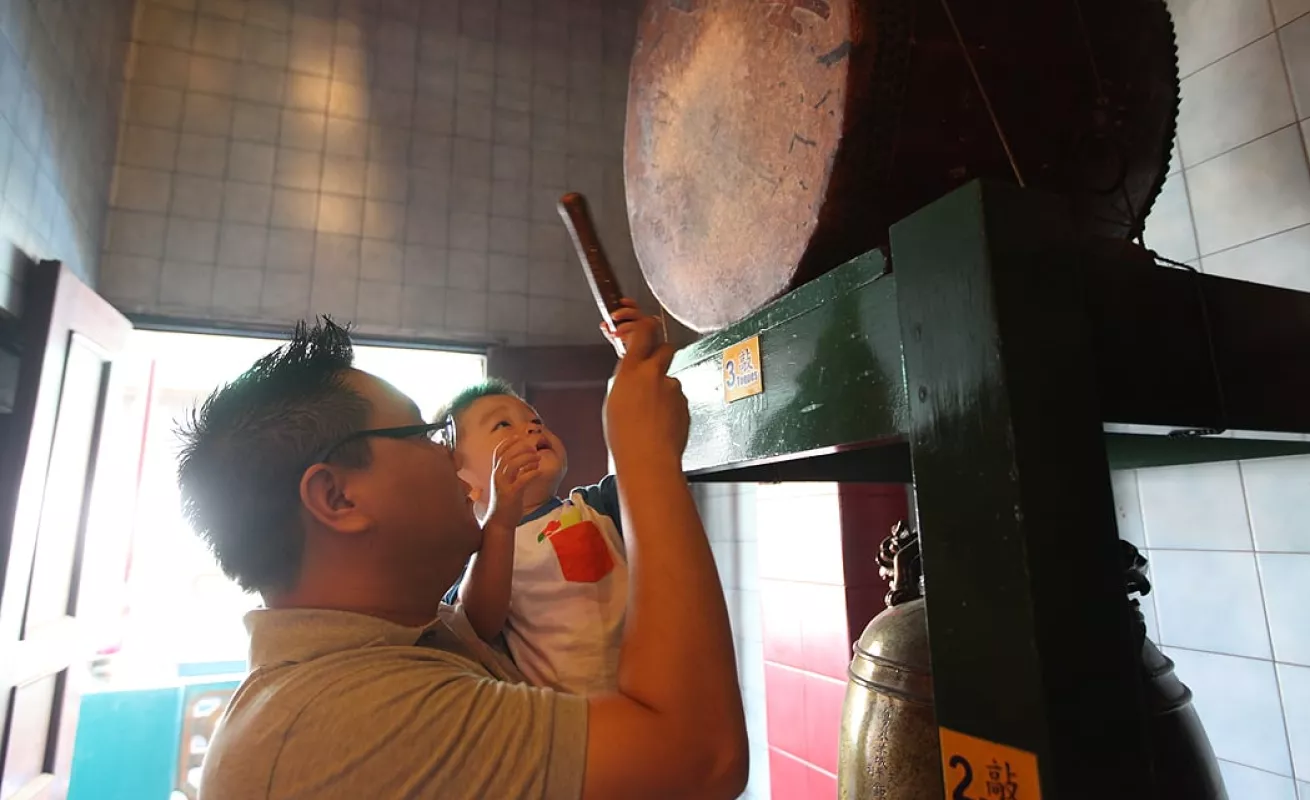 El gallo se toma los barrios de Panamá