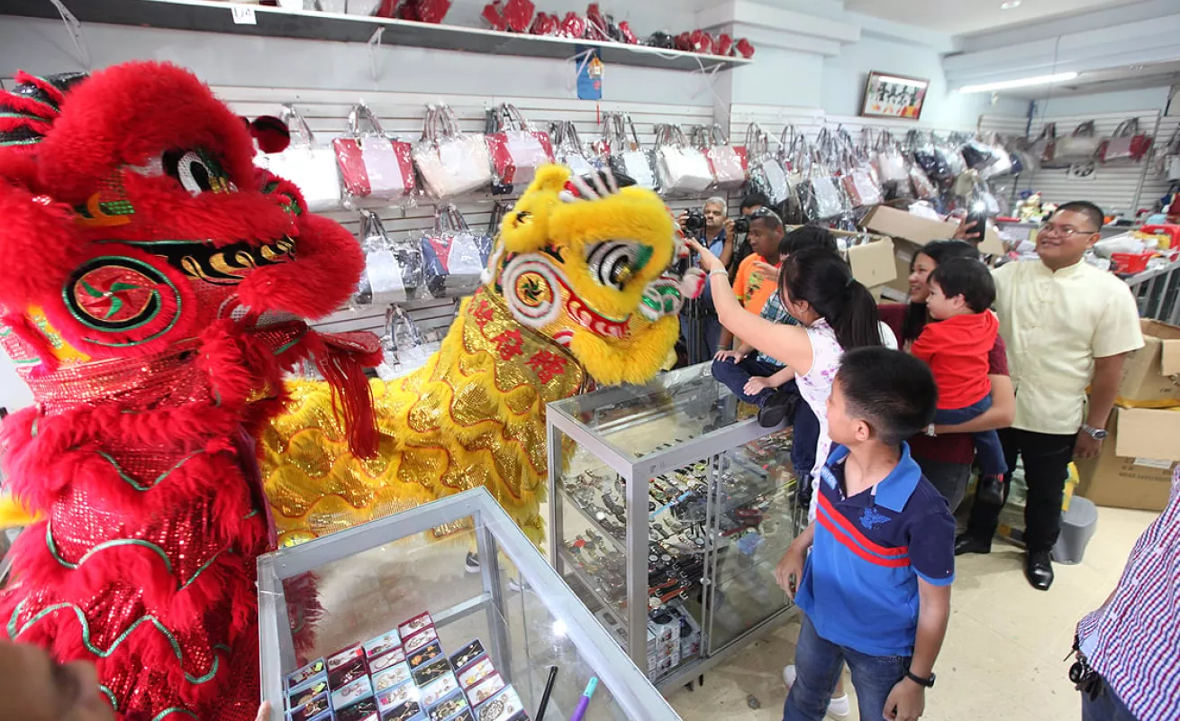 El gallo se toma los barrios de Panamá
