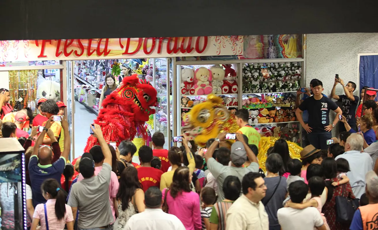 El gallo se toma los barrios de Panamá