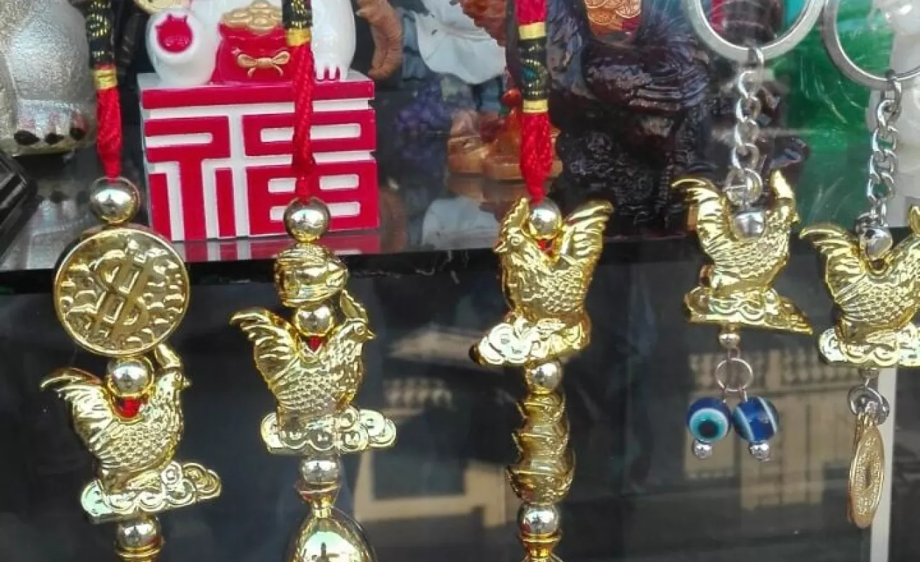 El gallo se toma los barrios de Panamá