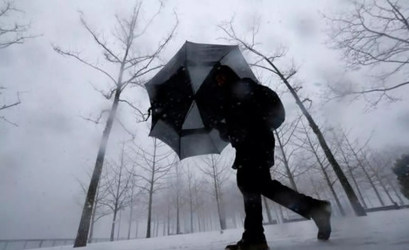 #GaleriaCri Nieve cubre Nueva York