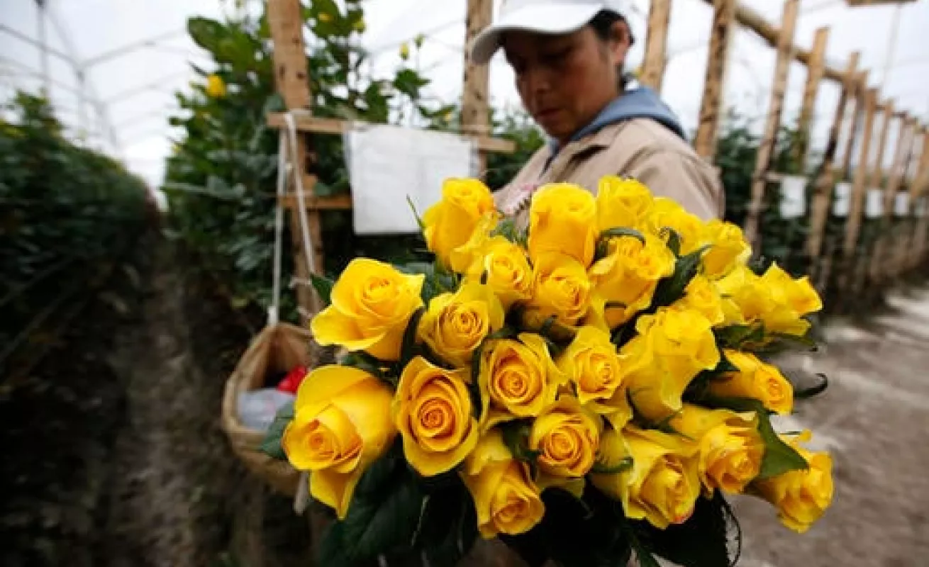 #GaleriaCri Flores y globos en San Valentín